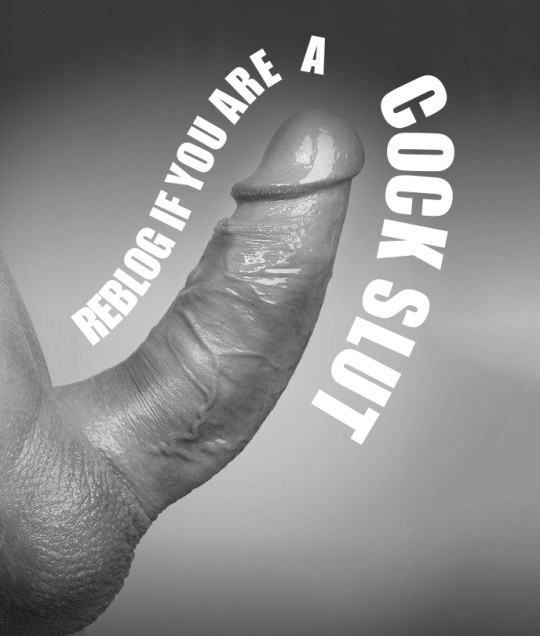 Gay Sub University🍆 (@sph4u185255) on Twitter photo 