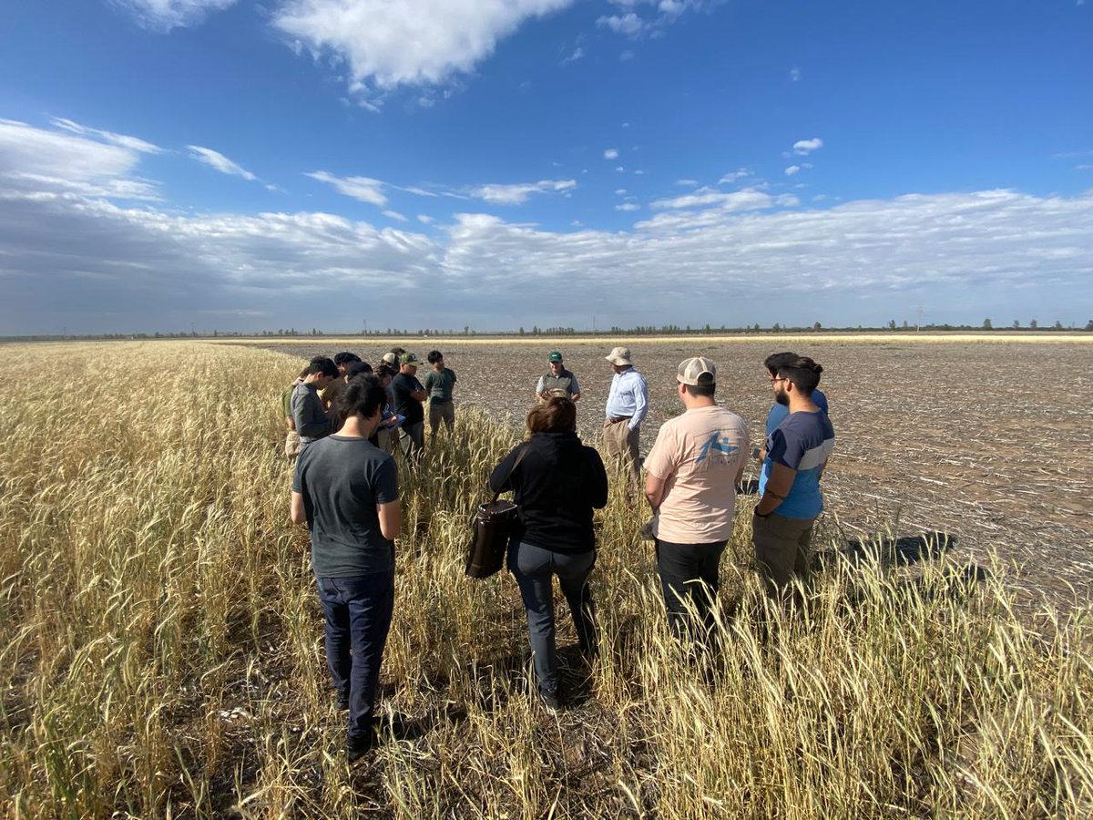 Cereales y Oleaginosas _UNSL tweet media