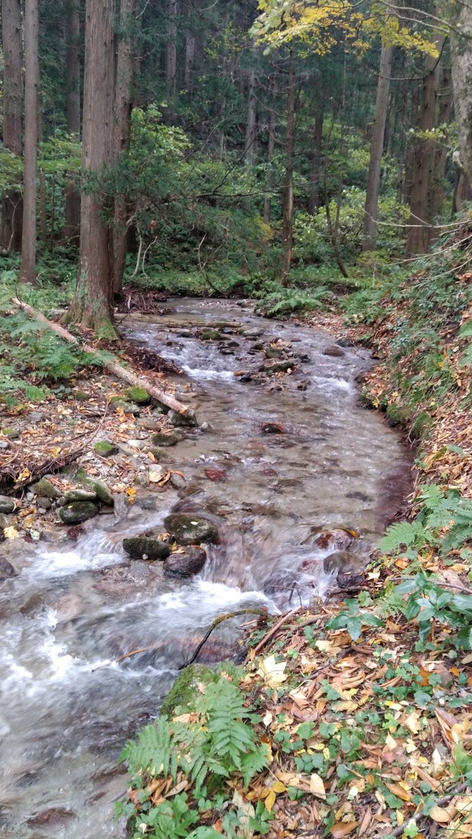 wata (@jXBoEkfoa2z1wZu) / Posts / X