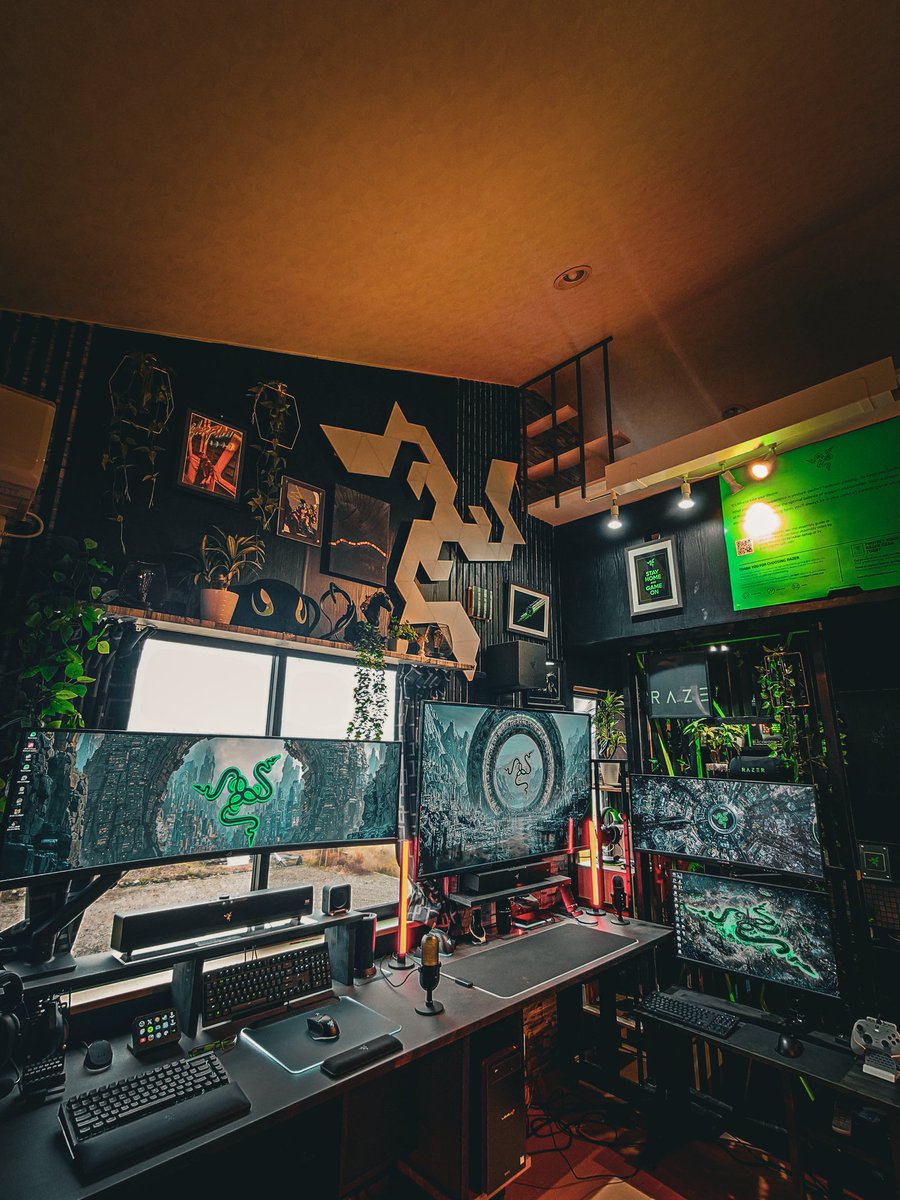 mitu 🐍 tweet media