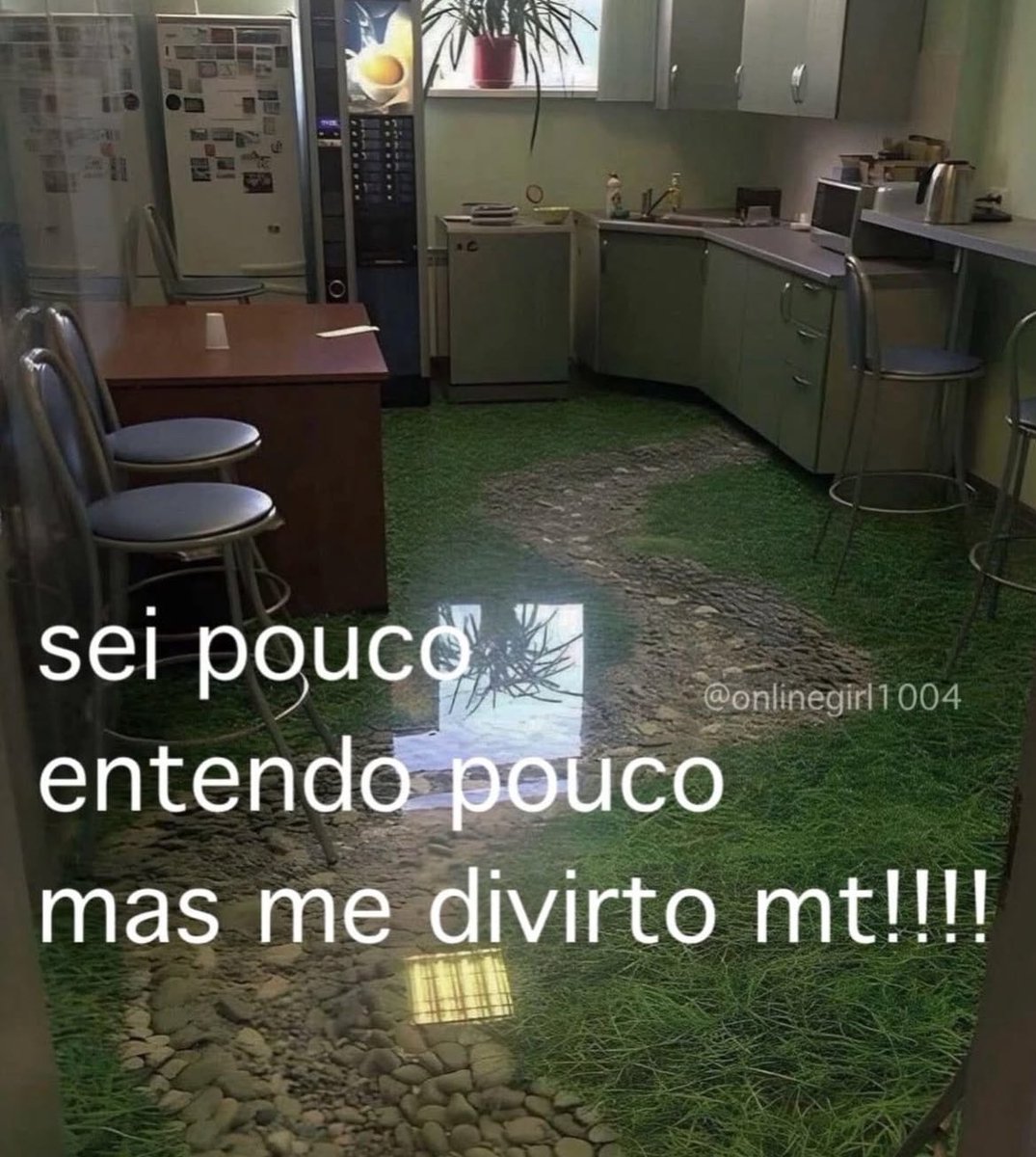 burrosgeniais's tweet image. 