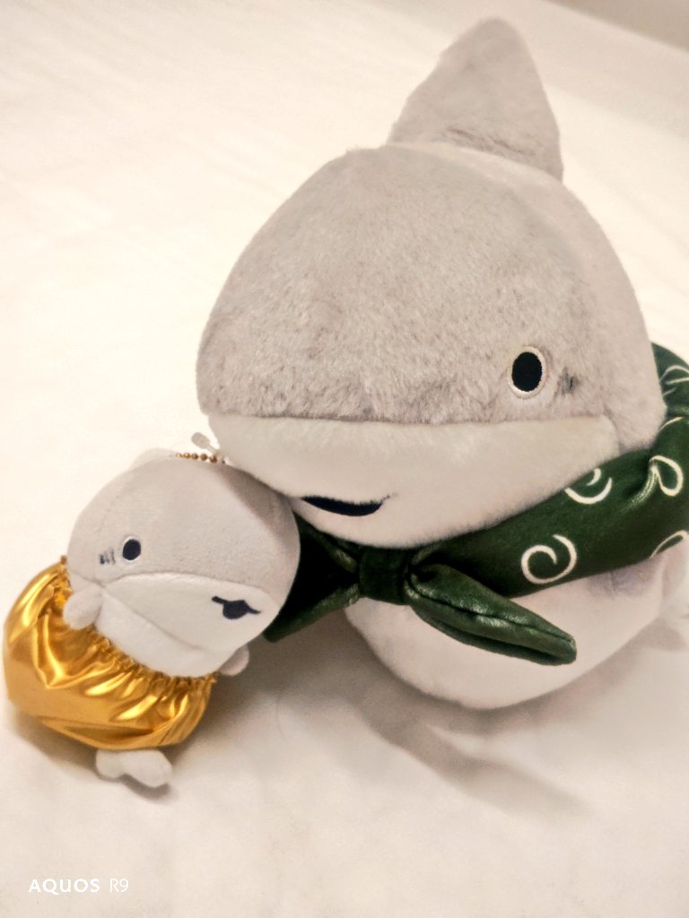 IDEAMASTER10's tweet image. これは…時空を超えて自分とツーショット？
ベビーはご機嫌のようです。
#おでかけ子ザメ
#子ザメちゃん
#ベビー子ザメちゃん