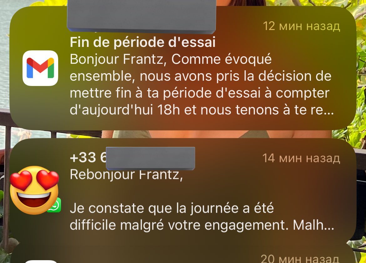Frantz z Francji tweet media