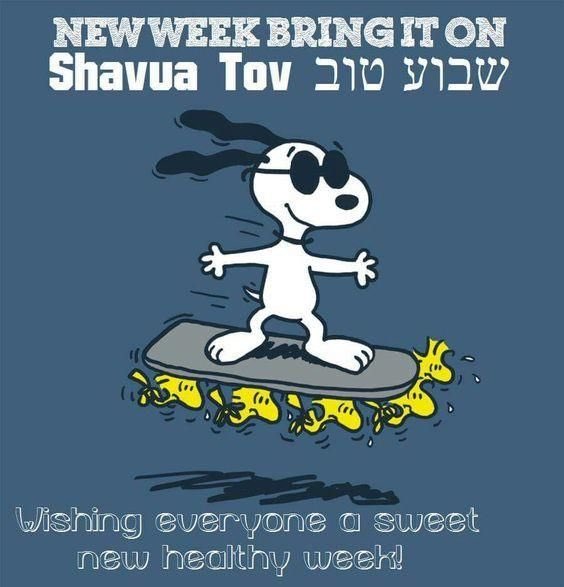 Shavua Tov! Everyone have a great week!