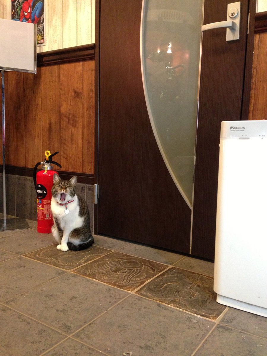 ワンちゃん　BIG タイルアート　世界に一つだけ 寛村シイ夫 on X