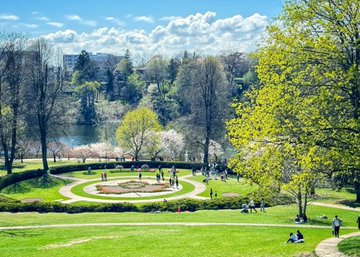 Elizabeth99003's tweet photo. Spring vibes in full bloom ☀️📷 Nature showing off its colors beautifully 📷📷 🌼✨ https://t.co/vse4D5m1ei