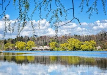 Elizabeth99003's tweet photo. Spring vibes in full bloom ☀️📷 Nature showing off its colors beautifully 📷📷 🌼✨ https://t.co/vse4D5m1ei