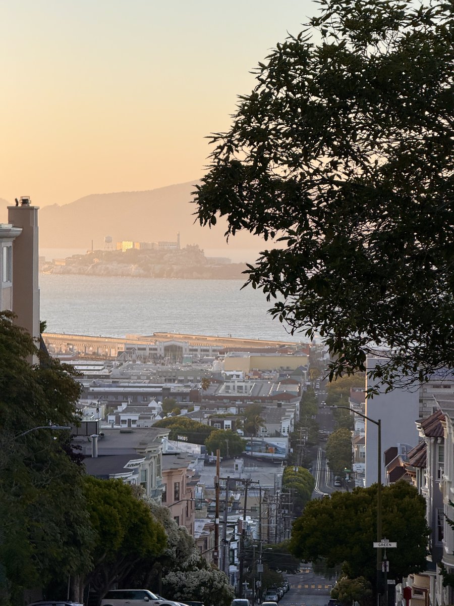 SF needs a new marketer.

You're telling me it gives us these views and AGI, and somehow it still has a bad rep?!