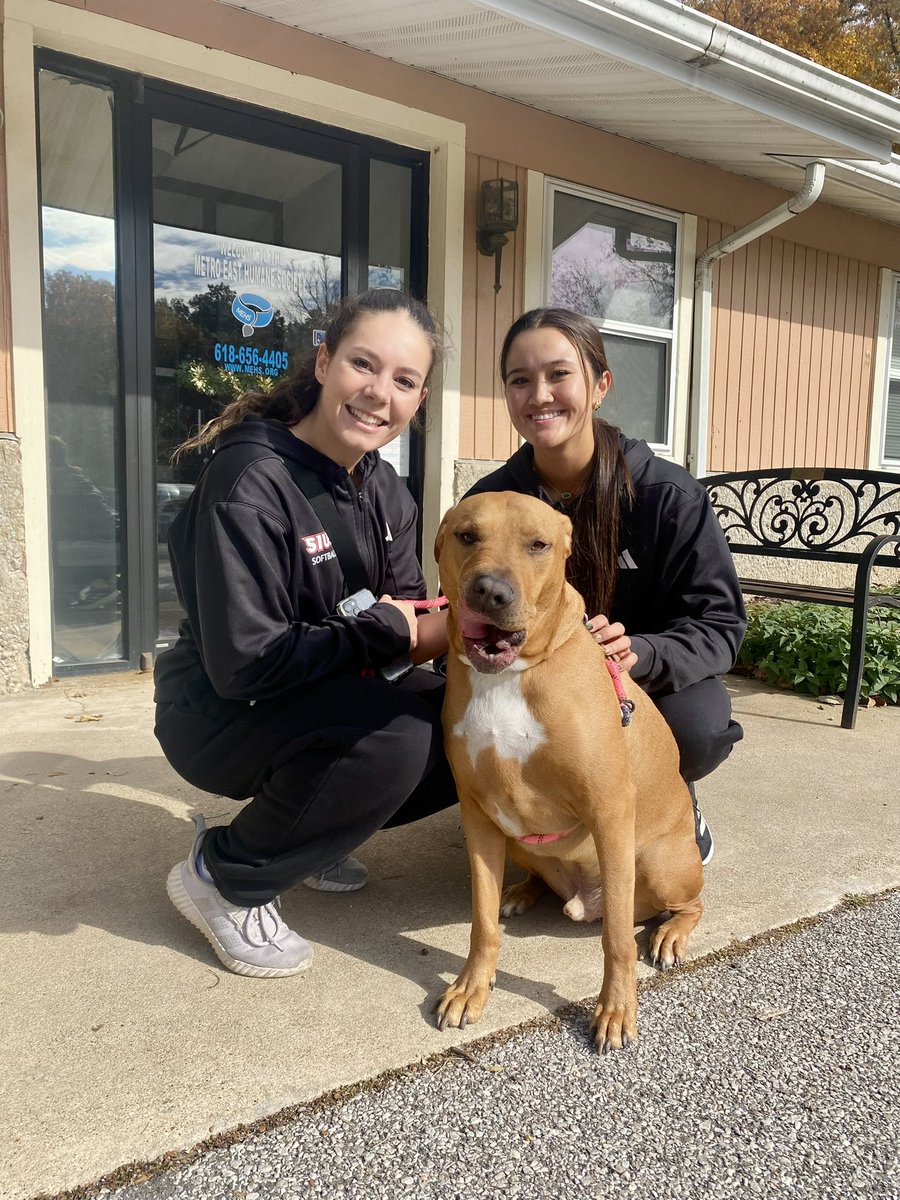 b_morrell24's tweet photo. Our softball team traded bats for leashes today! 

Proud to spend the morning volunteering at the Metro East Humane Society giving back and spreading love one paw at a time ❤️🐶🐾

#communityservice #cougarpride https://t.co/Fd0JRePZEX