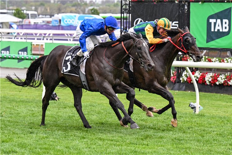 Racing_Previews's tweet photo. Is there a better love story in racing than Ceolwulf’s love for Pride Of Jenni?

In races involving the front-running mare, Ceolwulf is unbeaten 3/3.

🥇 2025 Champions Mile
🥇 2025 King Charles 
🥇 2024 King Charles

She’s still got more races in her, right? 😉 @PrideRacing https://t.co/F6V3ZkWdlZ