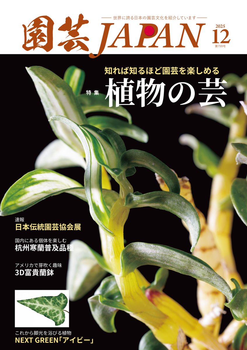 園芸JAPAN【毎月12日発売】 (@ENGEI_JAPAN) / Posts / X