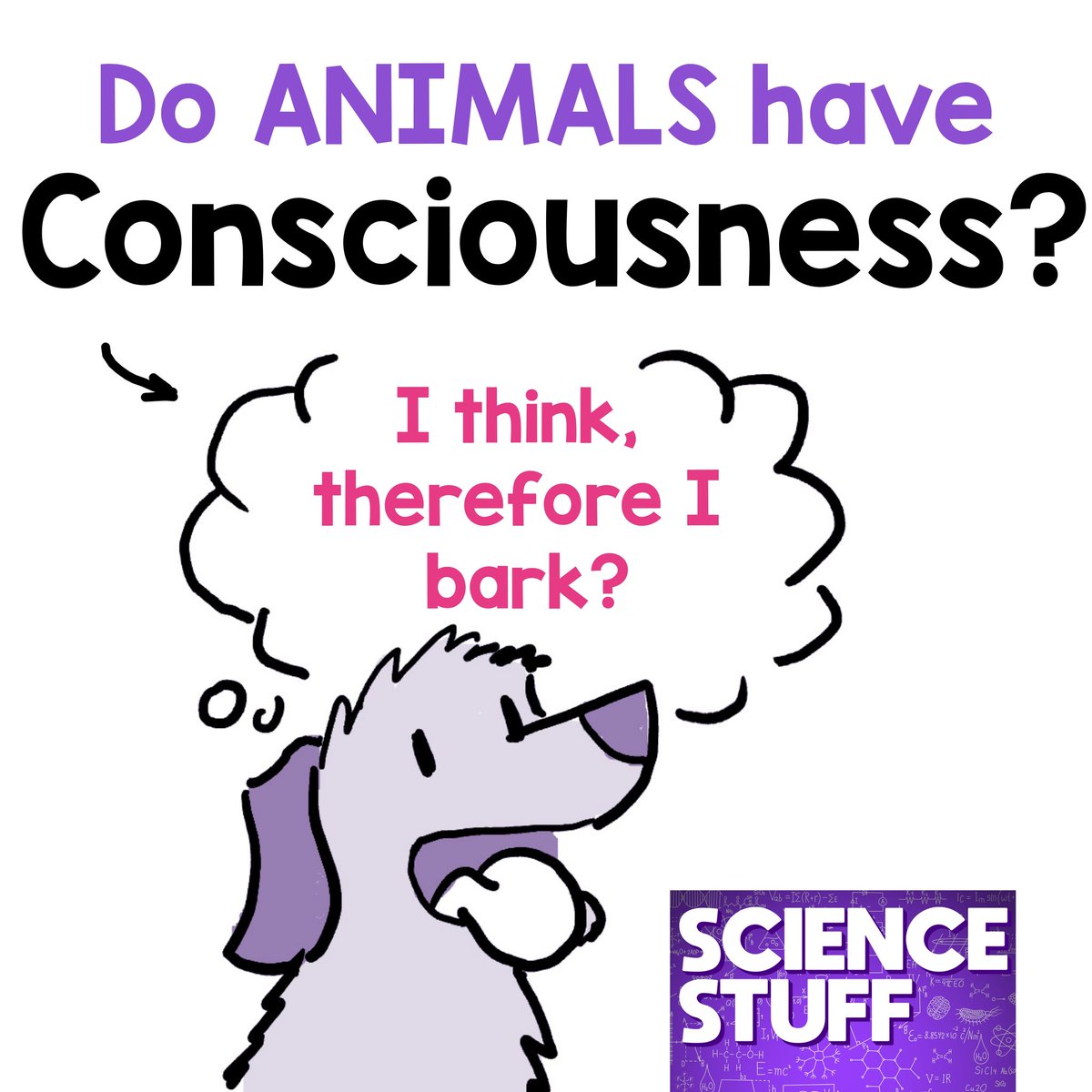 PHDcomics's tweet photo. Animal researchers think the answer is YES

Find out in the latest episode of #ScienceStuff: https://t.co/z13X97BXfj https://t.co/vv01miUWKr