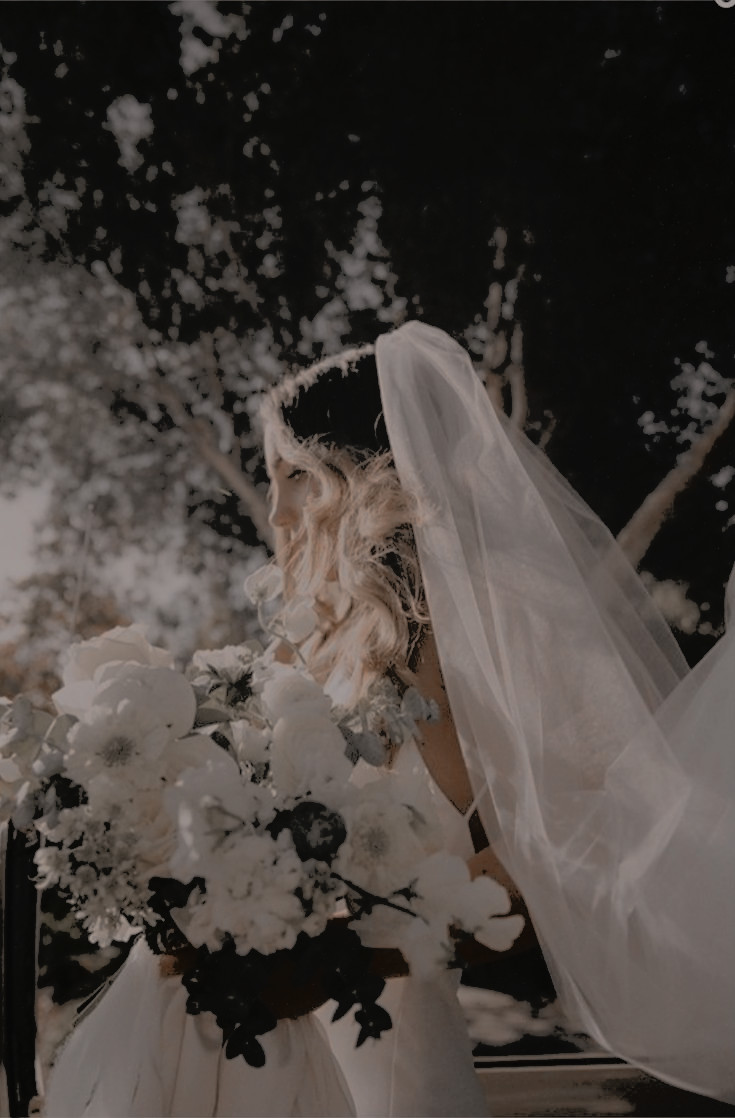 ⠀
⠀
⠀⠀⠀⠀⠀⠀eternally yours,
                   tessriel sovic 𝗵𝗮𝗿𝗽𝗲𝗿.
                   
⠀⠀⠀⠀⠀