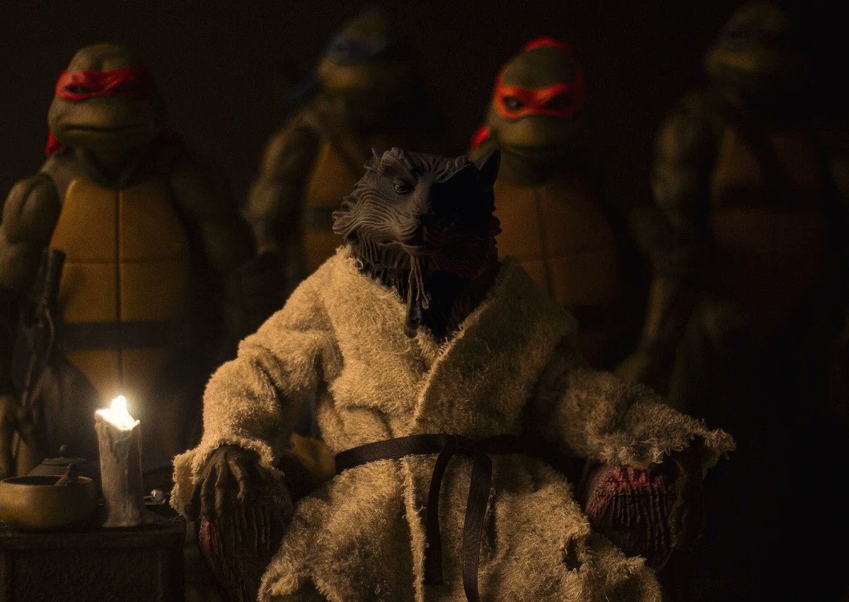 TMNT_Configuration tweet media