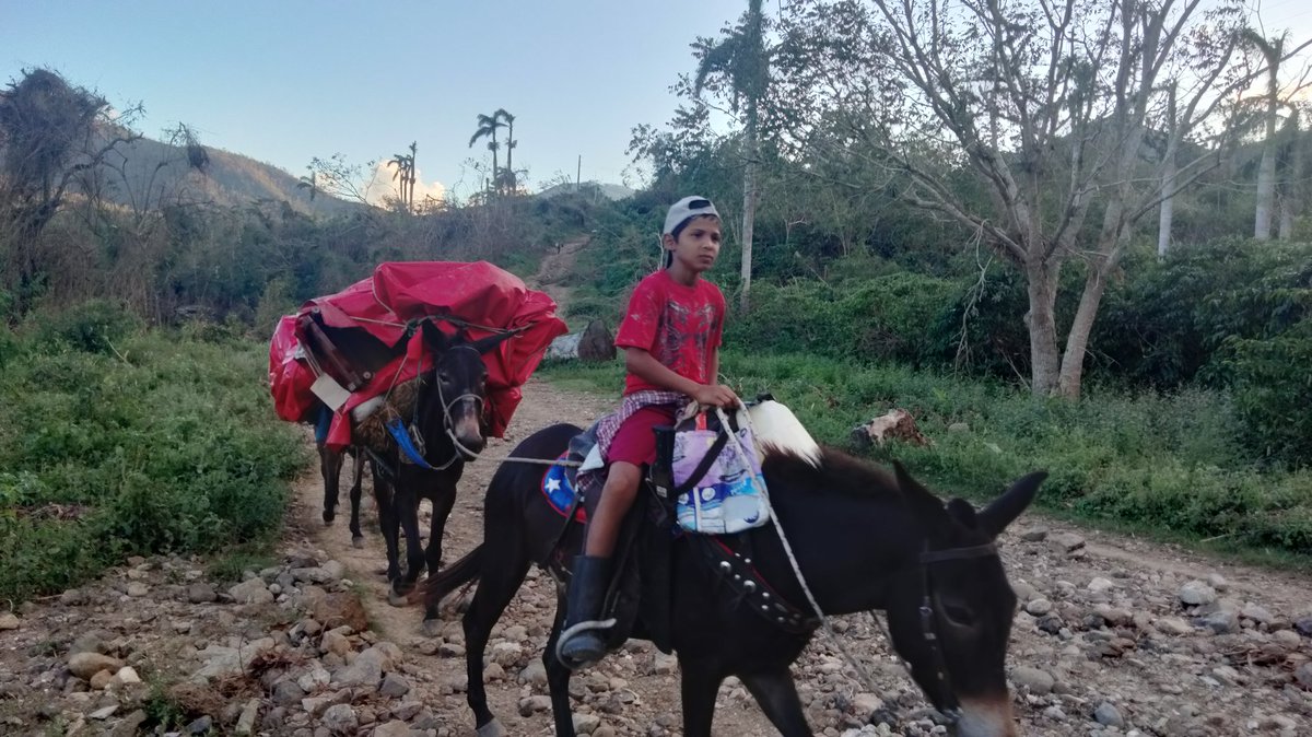 GEORGE80283962's tweet image. En la comunidad "Vega Limones" visitamos la CPA VI Cumbre del municipio Tercer Frente donde conocimos la vivencia de los cooperativistas y campesinos luego del paso del Huracán Melissa,pero sobre todo la convicción de no rendirse #Jamás ante las dificultades 
#ANAPCuba