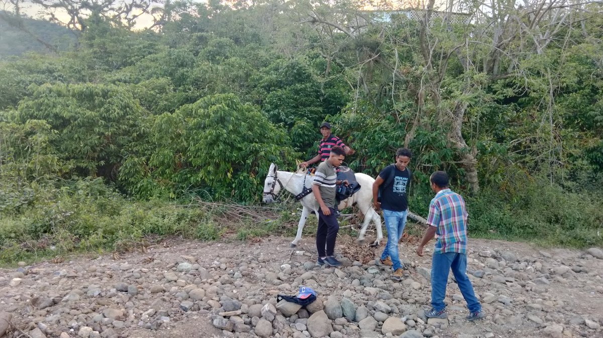 GEORGE80283962's tweet image. En la comunidad "Vega Limones" visitamos la CPA VI Cumbre del municipio Tercer Frente donde conocimos la vivencia de los cooperativistas y campesinos luego del paso del Huracán Melissa,pero sobre todo la convicción de no rendirse #Jamás ante las dificultades 
#ANAPCuba