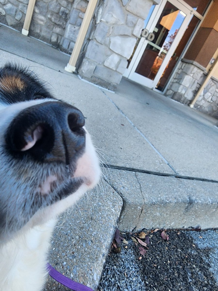 MasterPerch's tweet image. 