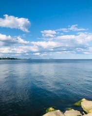 Elenai789's tweet photo. Peaceful moments by the water 🌊☀️💙 https://t.co/BynKVKxa1H