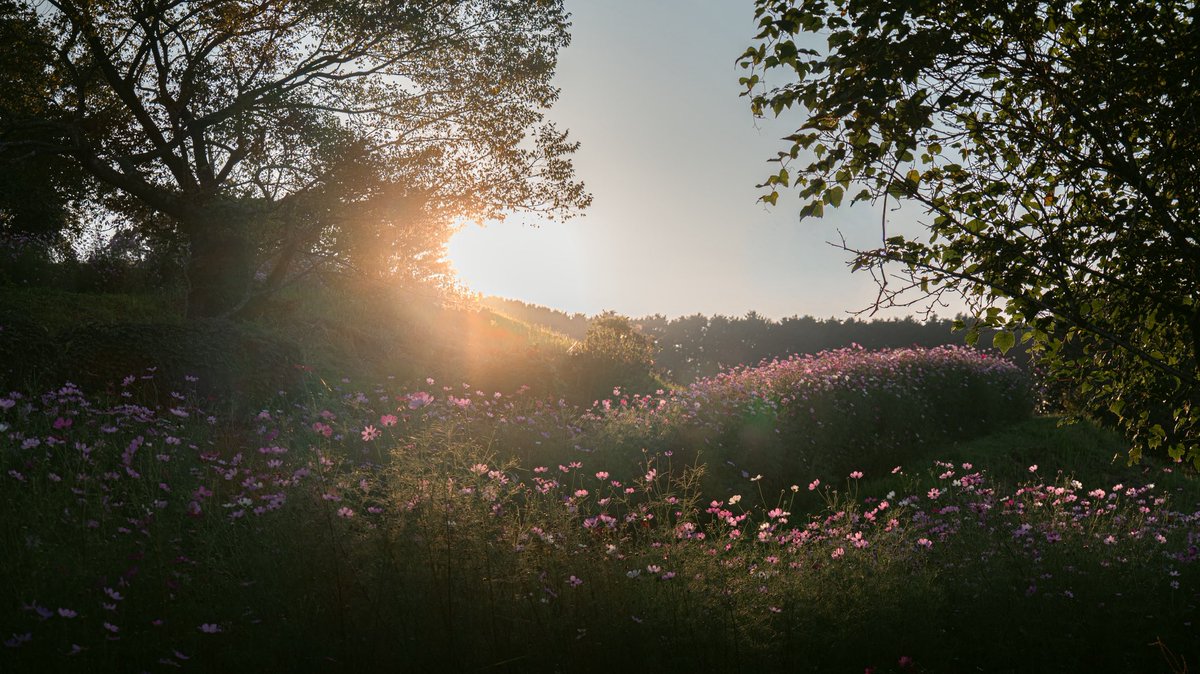 entrustthewaves's tweet image. 