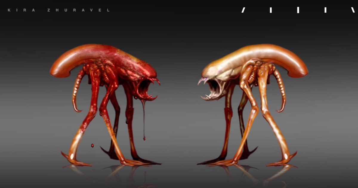 kyrazhuravel's tweet image. Life cycle —&amp;gt; #xenomorph