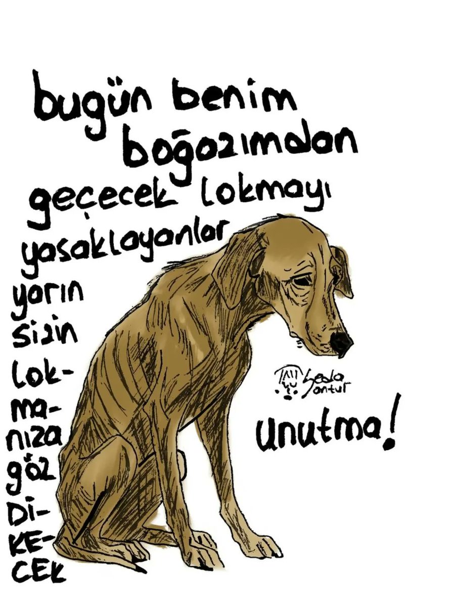 Sıra size geldi...

#beslemeyasaklanamaz 
#Besleyeceğiz