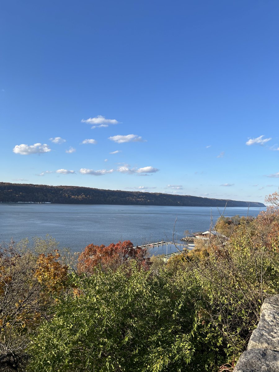 wildnewyorkshow's tweet image. Lovely afternoon in @FortTryon_Park today. 
#birding #autumn #birdcpp