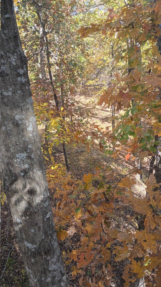 SMackey63's tweet photo. Same spot 6 days apart. Starting to look like fall. https://t.co/fkAqe9rVjL