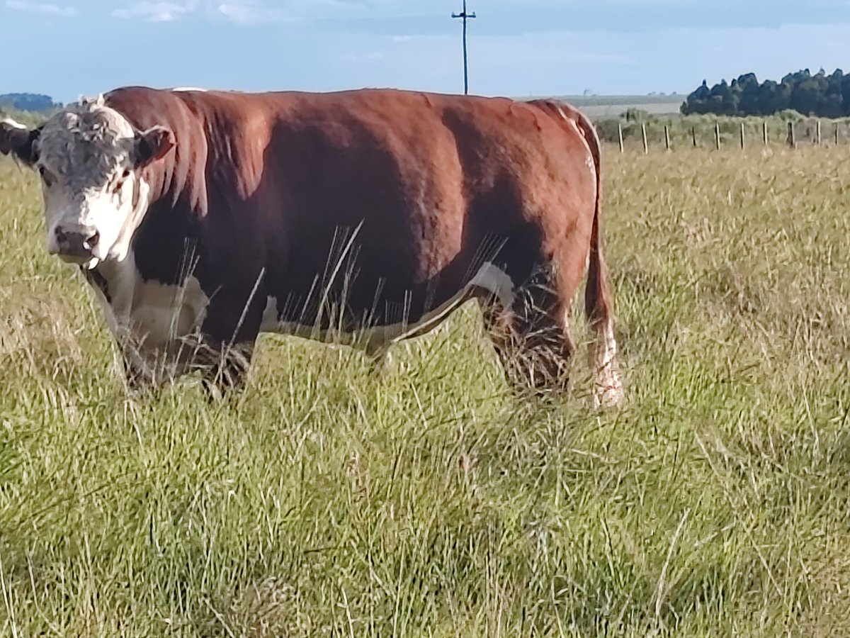 Talitas (@talitasuy) on Twitter photo 