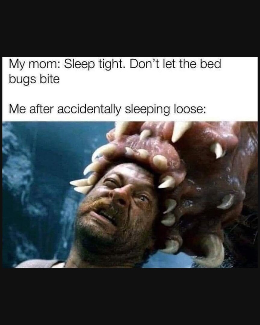 I be sleeping loose AF
#believingthebizarre #paranormalpodcasts #paranormalmemes #meme instagr.am/p/DQ0HBxIASCU/