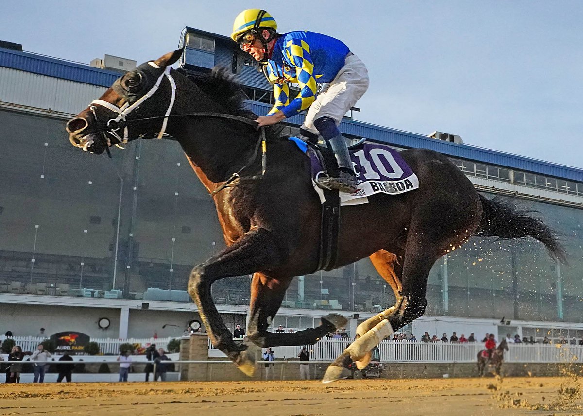 👉 Balboa By Knockout in the James F. Lewis III Stakes

👉 Doc’s Miracle Continues Ascent in Smart Halo Stakes

👉 Read more LaurelPark.com/Race-Info/News