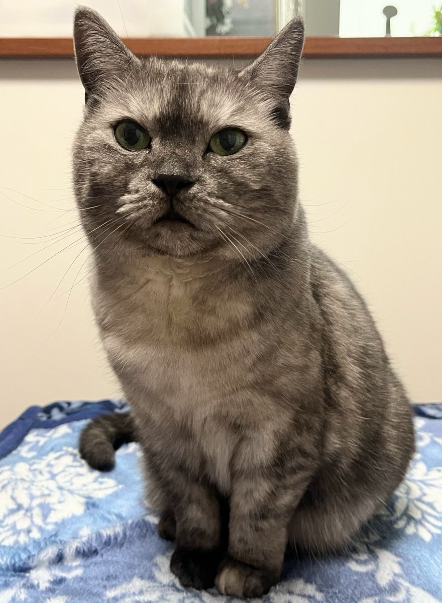 11/9(日)おはようございます
🍁🍂

昨日も沢山のリプありがとうございました
お返事出来ずごめんなさい

今日は伯母の四十九日法要
行ってきます