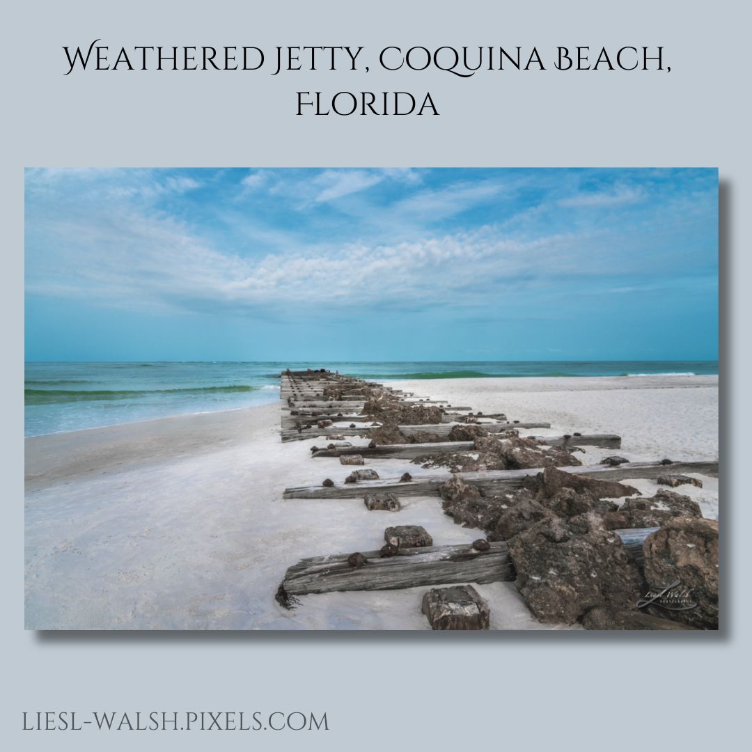 LieslWalsh's tweet photo. #whitesand and #aquawater at the #beach ~ a perfect way to #destress and #relax, bring on the #healingvibes!
Order a print for your home:
https://t.co/Nfy89uds7C
#annamariaisland #coquinabeach #florida #gulfcoast #coastaldecor #beachlife #beachvibes https://t.co/Bxv5vqIRX8