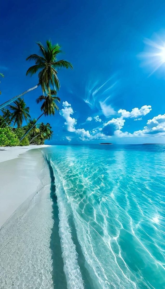 Cool & Calm tweet media
