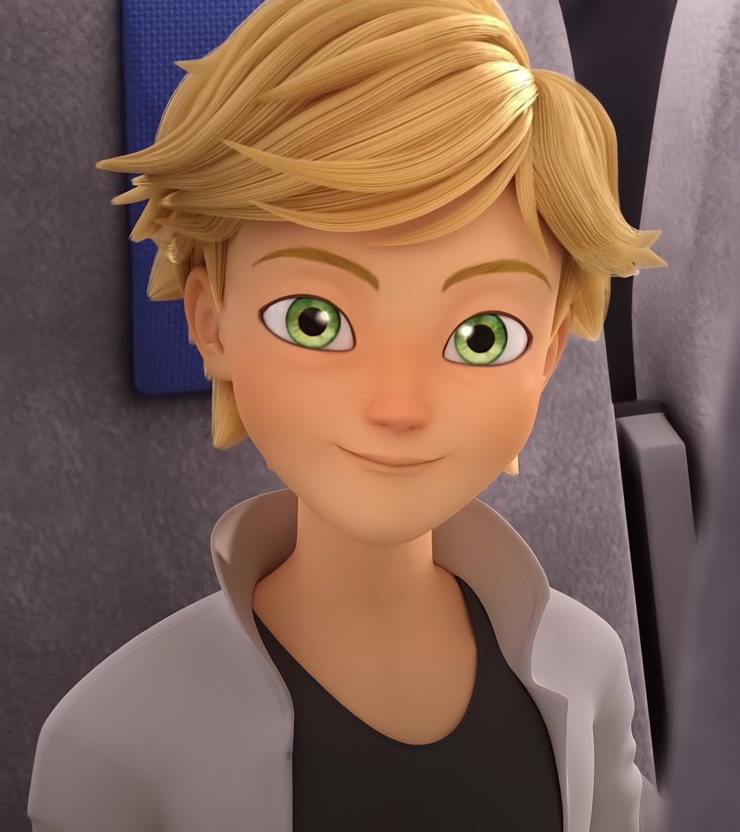 daily adrichat (@chatonpics) on Twitter photo 