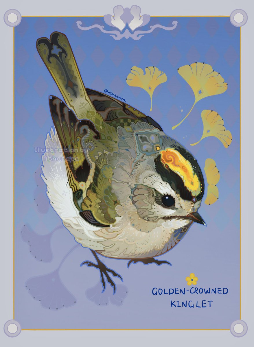 Lil birb with a golden crown👑 

#birds #illustration #animalart