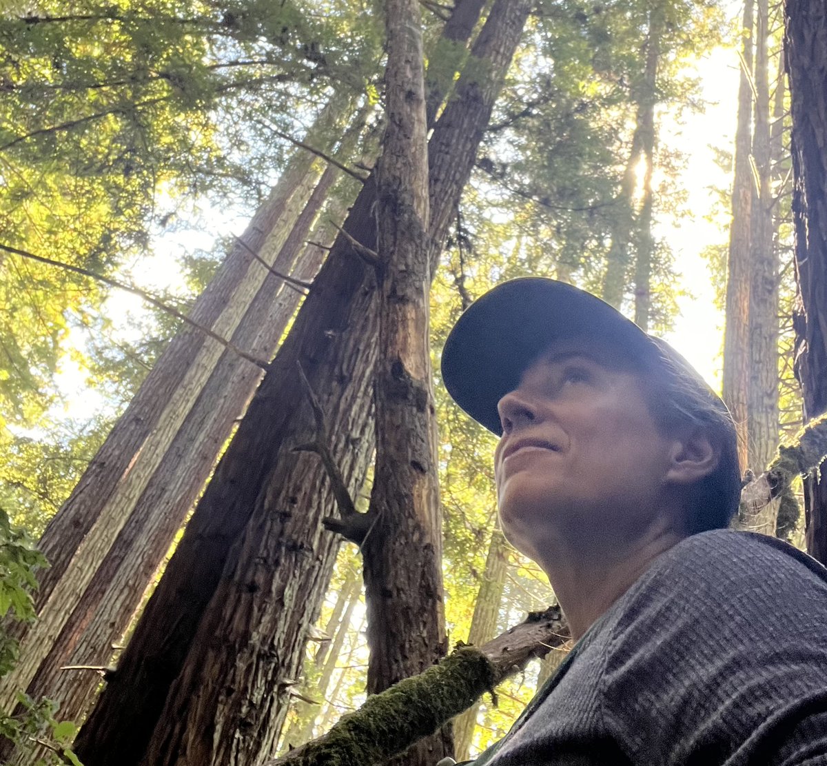 Life imitates art: Living my favorite poster of my favorite forest.
youtube.com/shorts/StkFFNH…
