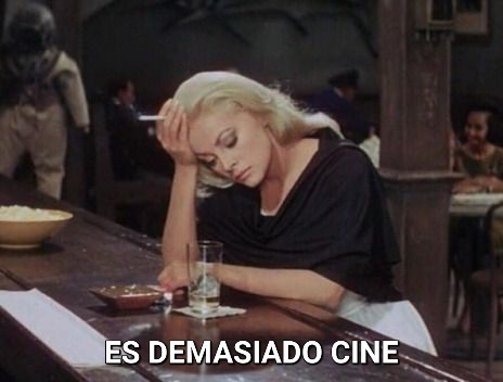 Kelly Towerss 💫 tweet media