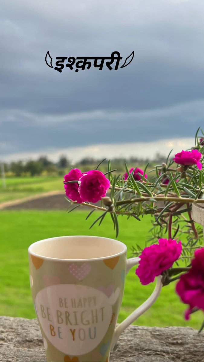 Sundays are a gentle reminder that life is beautiful. Smile, relax, and cherish today

 Happy Sunday everyone