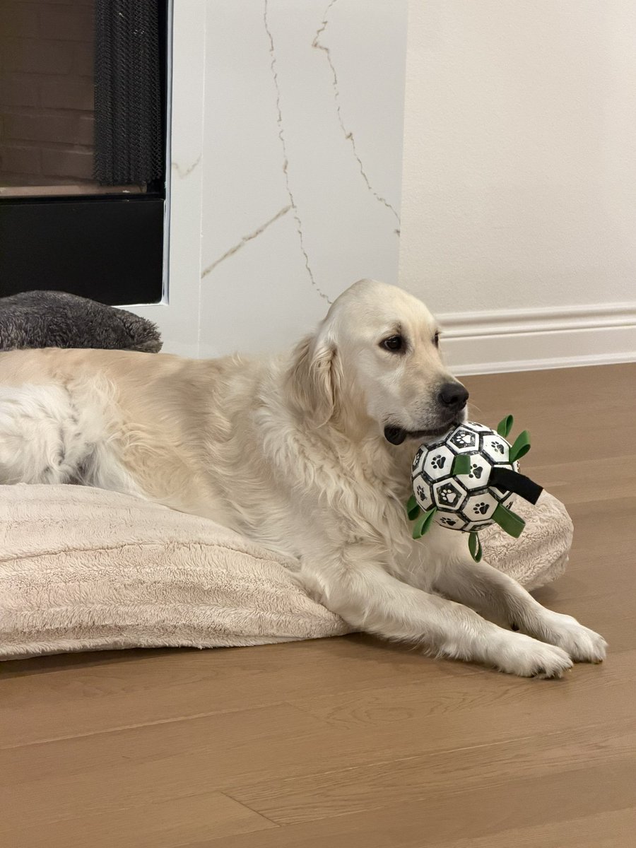 Gunther Eagleman™ tweet media