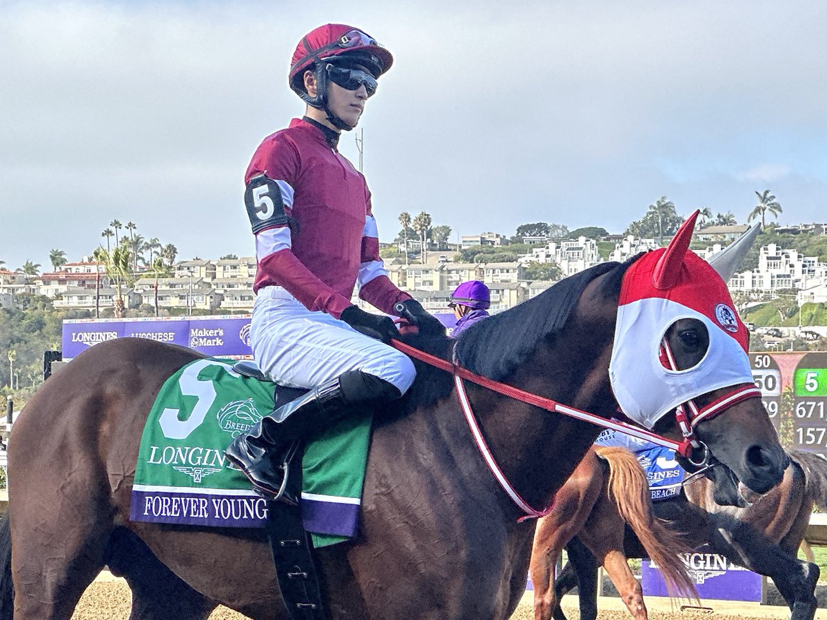 Mary Eddy🏇🏼 tweet media