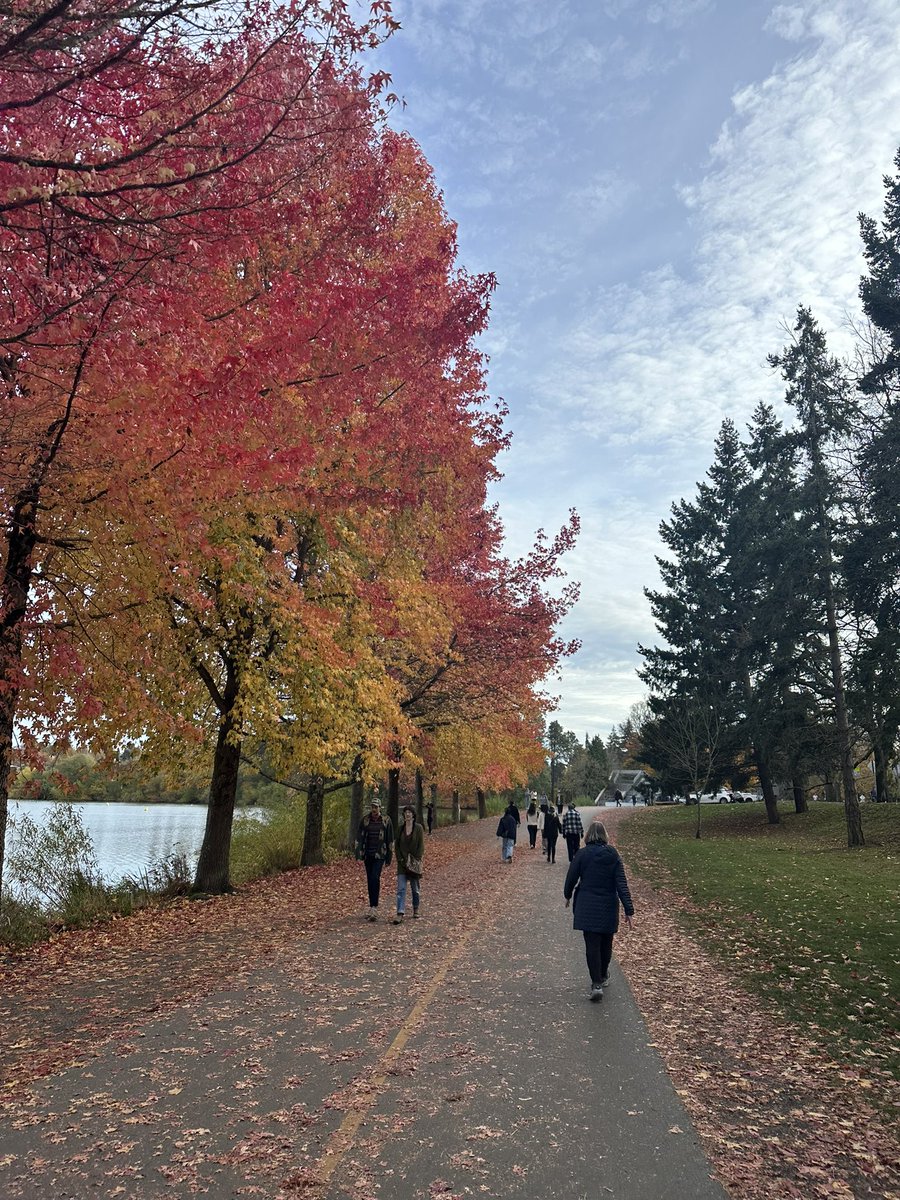 Fantastic autumn day. Now to go back inside