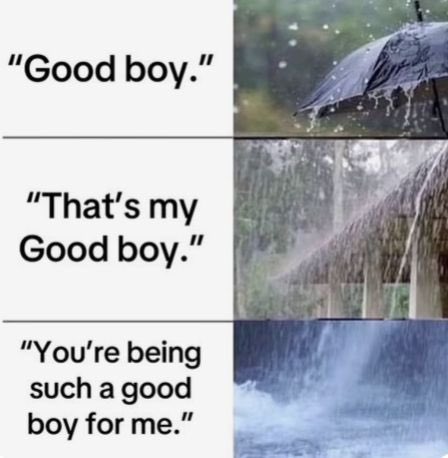 If there is one take away or piece of advice that I can give the mindfuckers and findoms of this world:

Language 👏

Is 👏

Everything 👏

This meme came up years ago and I use it in practice today. It also applies to a lot of other things.

There is an art to it.