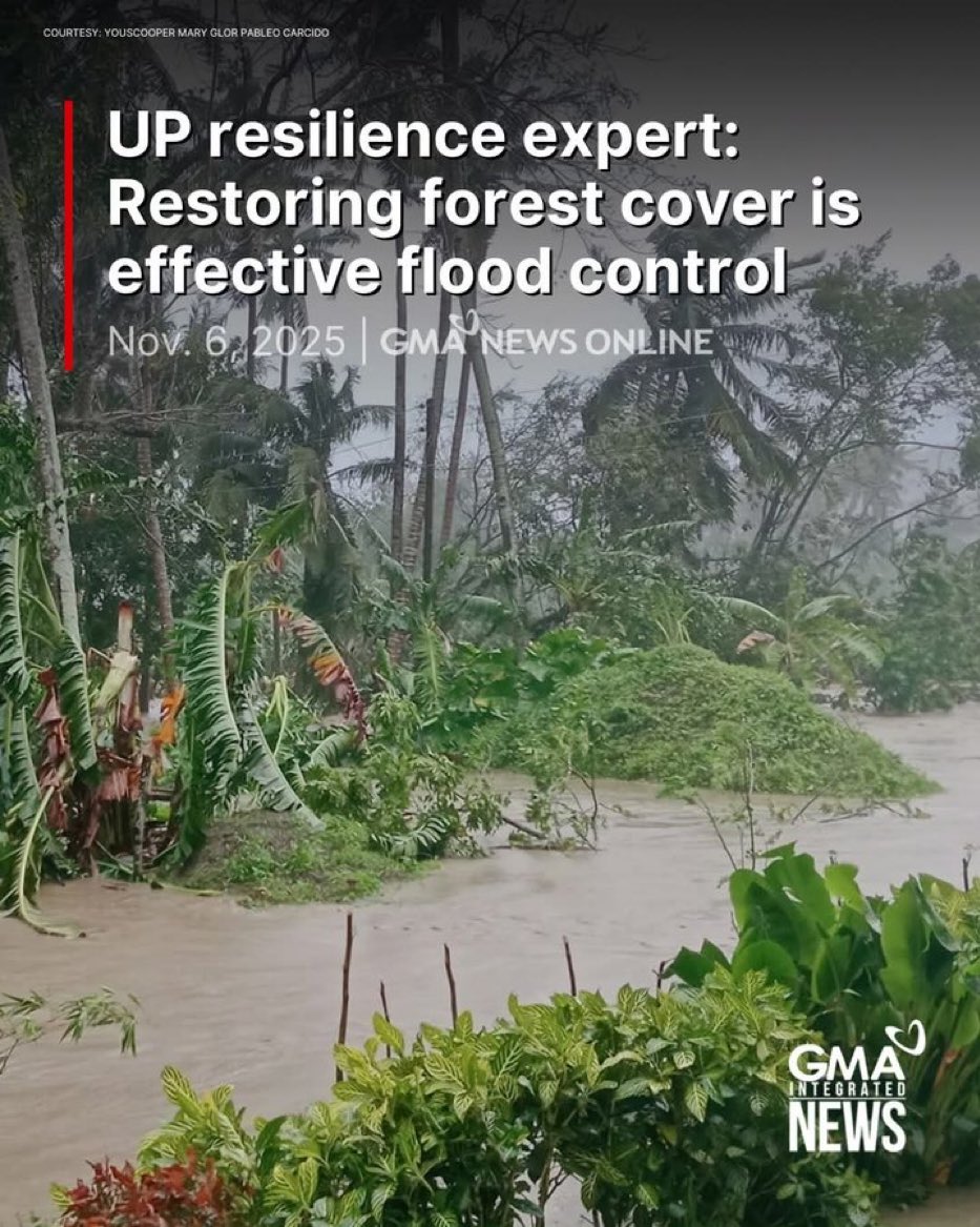 Naalala ba ninyo yung pinagtatawanan ninyong tree planting initiative ni Inday?