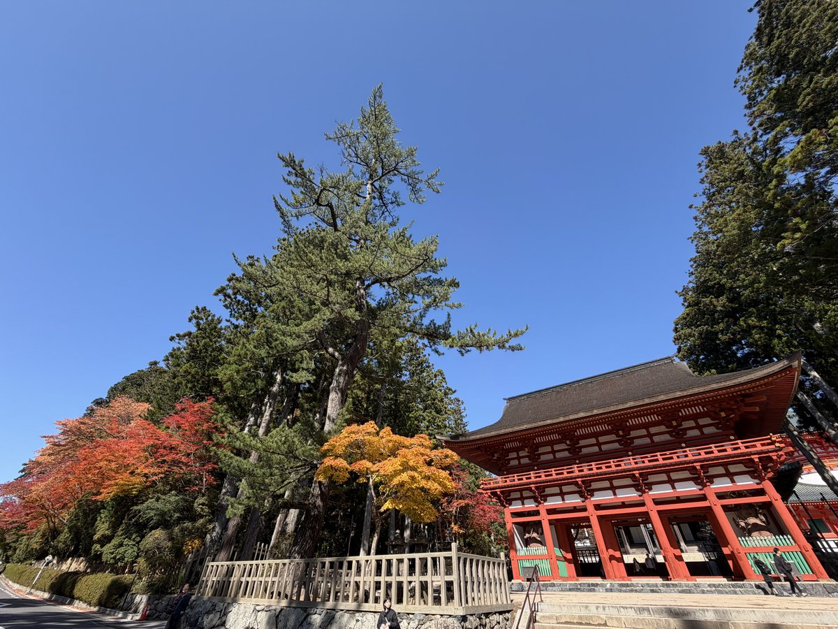 こまつり 883HT on X