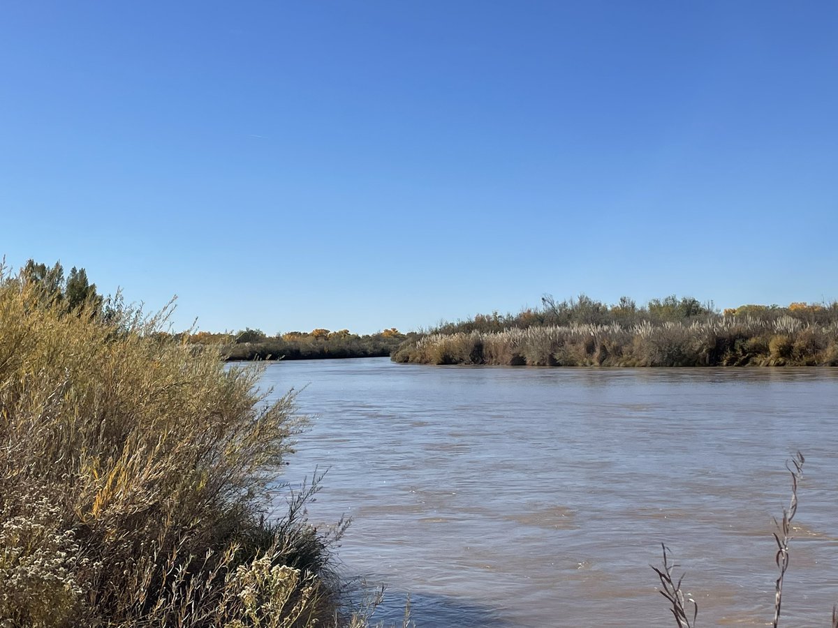 Howtobefit's tweet image. Nice little adventure in the Rio Grande bosque this morning. There was plenty of water in the river, the ditch was running clear again, the leaves are changing, and I looped back along the Paseo del Bosque Trail.