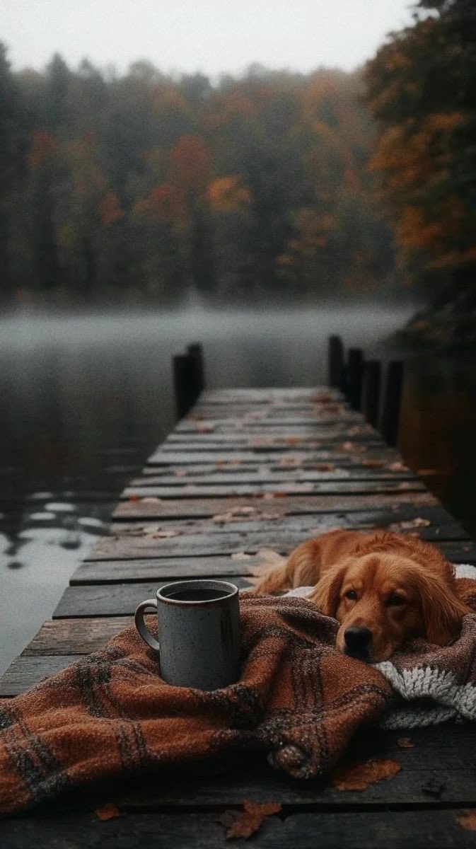 <a href="/Ginger68237919/">Ginger</a> 🌇
Dear Ginger, 

             *♡*

❤ͥ ͦ ͮ͠ ͤᭂ҉͡🍃
❦͡࿐🟢

Beautiful night and calm sleep 😴