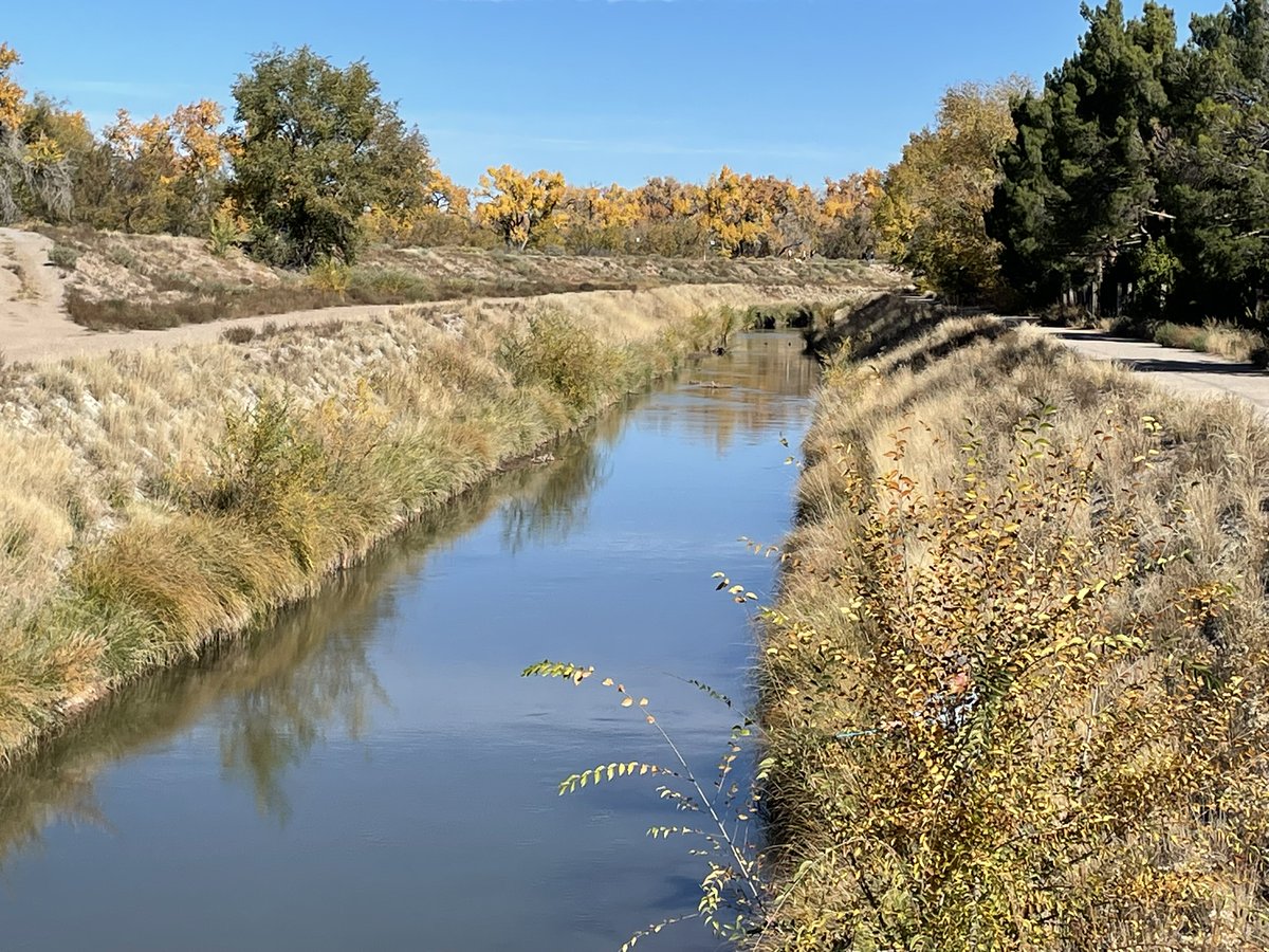 Howtobefit's tweet image. Nice little adventure in the Rio Grande bosque this morning. There was plenty of water in the river, the ditch was running clear again, the leaves are changing, and I looped back along the Paseo del Bosque Trail.
