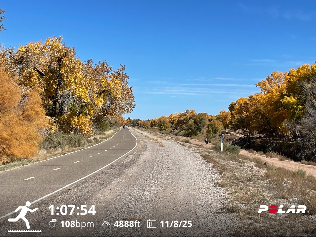 Howtobefit's tweet image. Nice little adventure in the Rio Grande bosque this morning. There was plenty of water in the river, the ditch was running clear again, the leaves are changing, and I looped back along the Paseo del Bosque Trail.