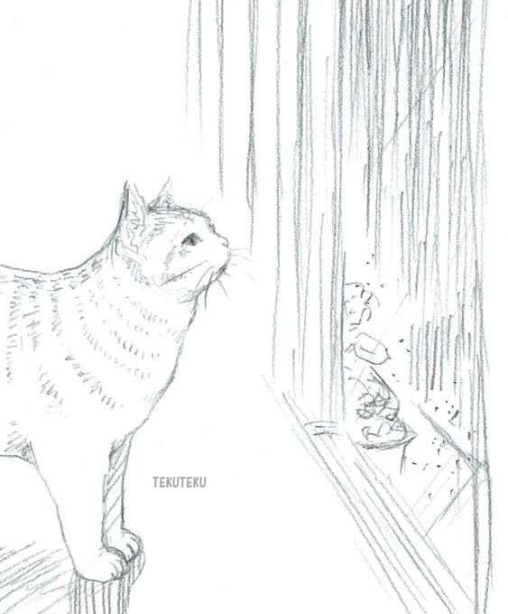 出掛ける予定のない雨の日
 #言ってみただけ 