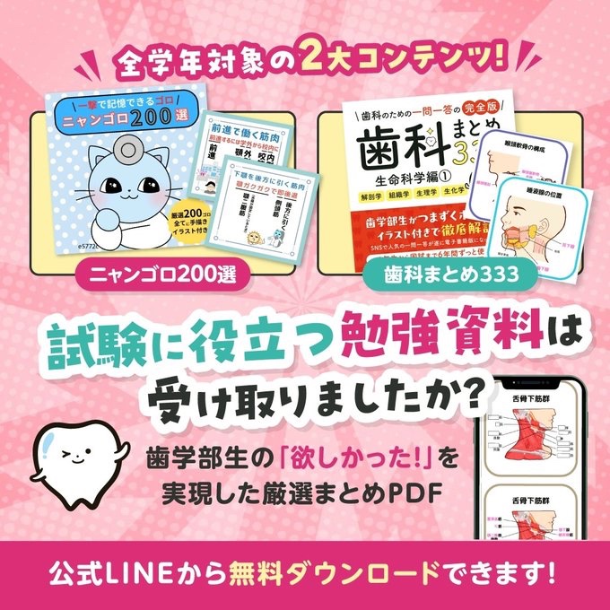 歯学部　医学部　教科書　まとめ売り 🦷歯学部生必見🦷 